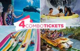 Pass Floride 2, 3 ou 4 parcs : SeaWorld, Busch Gardens, Aquatica, Adventure Island