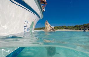 Nage avec les cochons sauvages & Découverte des îles Exumas - vol en avion inclus depuis Nassau (Bahamas)