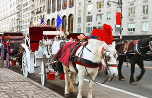 Horse-Drawn Carriage Tour of Historic Philadelphia – 1 hour