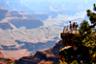 Ausflug zum Grand Canyon South Rim mit Zwischenstopp an der Hoover-Talsperre - VIP Tour