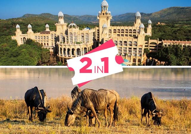 Safari dans la réserve de Pilanesberg & Visite du luxueux complexe Sun City depuis Johannesburg - En français