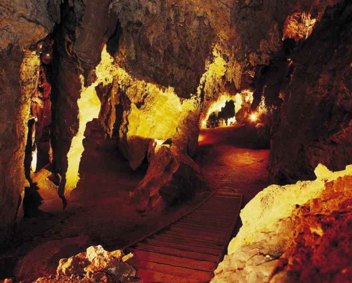 Excursion to the Sterkfontein Prehistoric Caves, the Cradle of Humankind - from Johannesburg