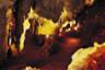Excursion aux grottes préhistoriques de Sterkfontein, le berceau de l'humanité - Johannesburg - En français