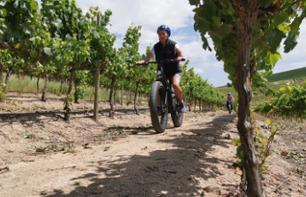 Guided electric bike vineyard tour - Cape Town