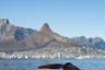 Croisière d'observation des baleines et dauphins - En français - Cape Town