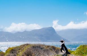 Cape of Good Hope half-day tour - Cape Town