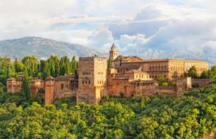 Billet coupe-file Alhambra et Palais Nasrides
