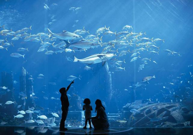 Billet The Lost Chambers - Aquarium de l'hôtel Atlantis à Dubaï