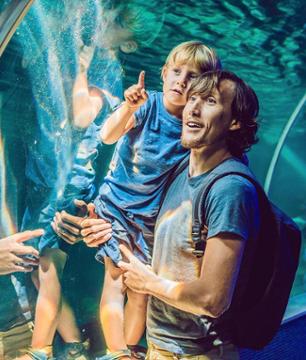 Billet Dubai Aquarium & Underwater Zoo - Attractions marines du Dubai Mall