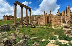 Excursion guidée privée d'une journée à la cité antique de Jerash, au Château d'Ajloun et à sa réserve forestière - En français - Au départ d'Amman