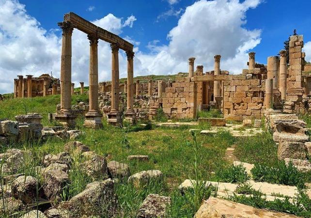 Excursion guidée privée d'une journée à la cité antique de Jerash, au Château d'Ajloun et à sa réserve forestière - En français - Au départ d'Amman