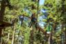 Adventure Park Ticket - Tree Climbing - La Molina in the Spanish Pyrenees - 2 hours from Barcelona