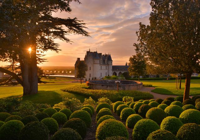 The Royal Château d'Amboise – Visit with optional audio guide