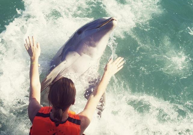 Croisière d’une demi-journée en catamaran et nage avec les dauphins – Au départ de Varadero