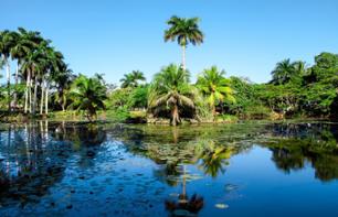 Day trip to the Caribbean coast and a visit to the crocodile farm with lunch included - Departs from Havana