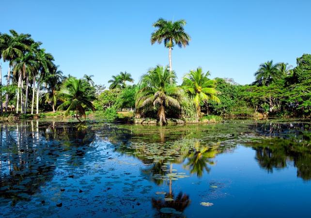 Excursion d’une journée sur la côte caraïbéenne et visite de la ferme aux crocodiles avec déjeuner inclus - Au départ de la Havane