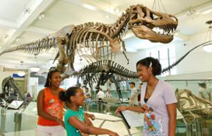 Besuch des American Museum of Natural History