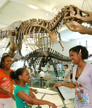 Tickets to the American Museum of Natural History – New York