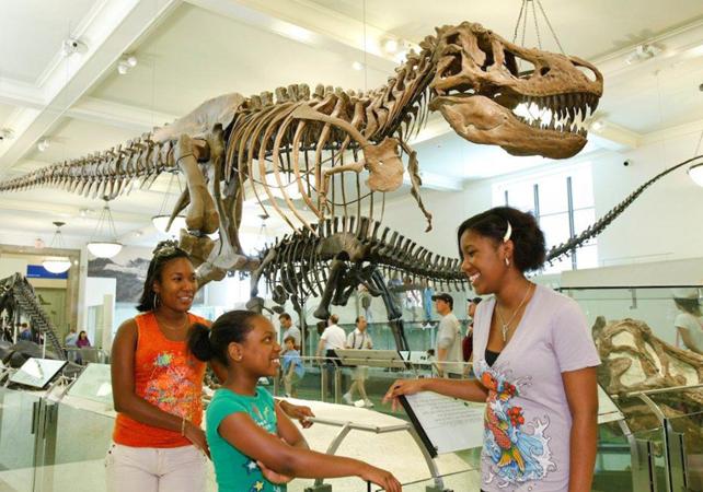 Billet American Museum of Natural History - New York