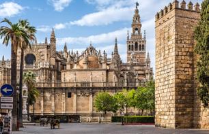 Guided visit of the Seville Cathedral and the Giralda Tower - Skip-the-line tickets