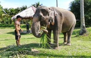 Visite guidée du sanctuaire d'éléphants d'Ao Nang - Au départ de Krabi