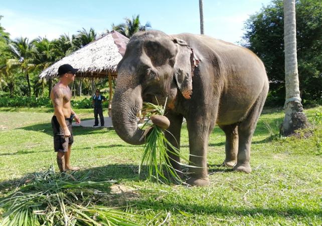 Visite guidée du sanctuaire d'éléphants d'Ao Nang - Au départ de Krabi