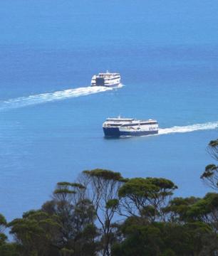 Transfert en ferry entre Penneshaw (Île Kangourou) et Cape Jervis - Transport vers Adélaïde disponible en option