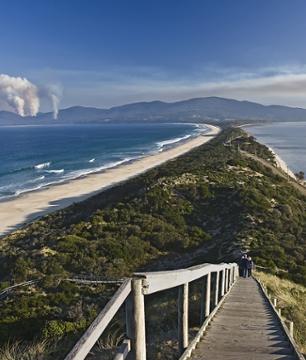 Excursion sur l’île Bruny : dégustation de spécialités locales et découverte de la faune et de la flore – Au départ de Hobart