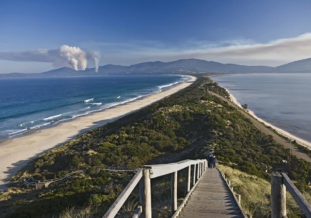 Excursion to Bruny Island: Enjoy local specialties and discover the region’s flora and fauna – Departing from Hobart