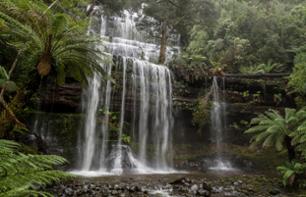 Trip to Russell Falls in Mount Field National Park – Departing from Hobart