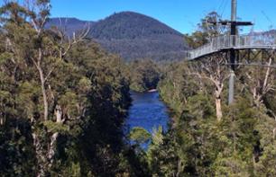 Excursion to Hastings Caves National Park and Access to the Tahune Airwalk – Departing from Hobart