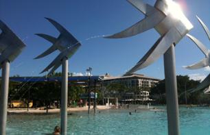 Guided Tour of Cairns and the Surrounding Areas by Bus