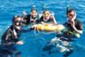 Plongée sous-marine à la Grande Barrière de Corail – Au départ de Cairns