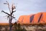 Excursion autour des Monts Olga (Kata Tjuta) et d’Ayers Rocks (Uluru) au lever du soleil – Au départ d'Ayers Rock