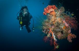 Introductory Dive at Tulamben Bay and Liberty Wreck