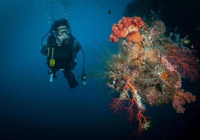 Introductory Dive at Tulamben Bay and Liberty Wreck