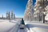 Excursion guidée en motoneige dans la forêt de Laponie (1h) - Au départ de Rovaniemi