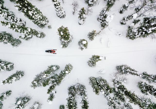 Balade en motoneige dans la forêt de Laponie (1h) - Au départ de Levi (Kittilä)