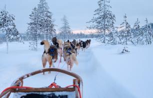 Visite d'une ferme de Huskies & Initiation à la conduite en chiens de traîneau - Levi (Kittilä)