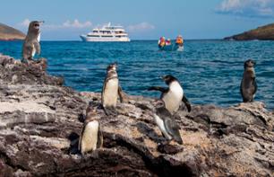 VIP Cruise to the Galapagos Islands - 6 days/5 nights (or 5 days/4 nights) on the yacht Odyssey – With return flights from Quito/Guayaquil