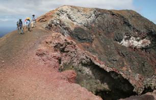 Day trip to the volcanic island of Isabela - Transfers included - Galapagos