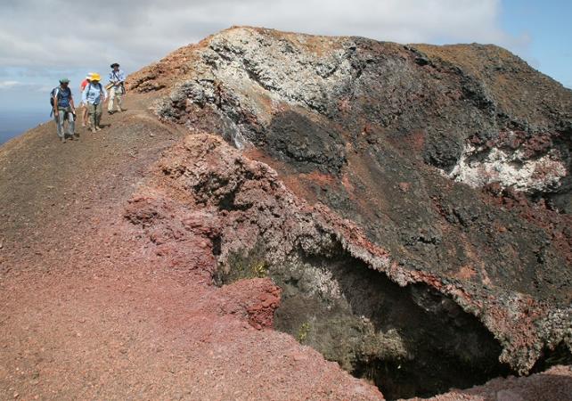 Excursion d'une journée sur l'île volcanique Isabela - Transferts inclus - Galapagos
