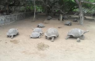 Excursion privée au Centre d'élevage de tortues Arnaldo Tupiza & promenade dans la mangrove - Au départ de Puerto Ayora, Santa Cruz (Galapagos)