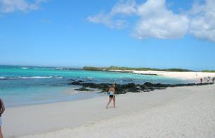 Excursion d’une journée sur l’île Seymour Nord et snorkeling sur la plage de Las Bachas – Au départ de Puerto Ayora, Santa Cruz (Galapagos)