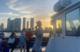 Croisière dans la baie de Biscayne au coucher du soleil - Miami