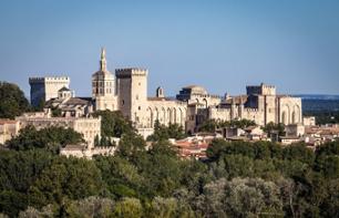 Billet Pont d'Avignon, Palais des Papes et Jardins Pontificaux (selon option choisie)