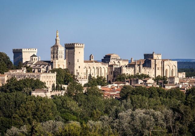 Billet Pont d'Avignon, Palais des Papes et Jardins Pontificaux (selon option choisie)