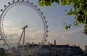 Ticket London Eye - Acceso preferente