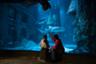 Billet Aquarium Sea life - Londres