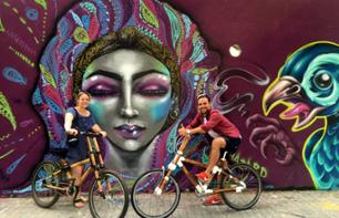 Visite guidée privée à vélo autour du Street Art à Barcelone - En français